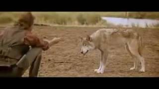 danse avec les loups avec chaussette [upl. by Cornie]