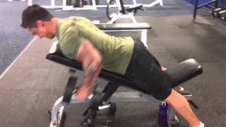 Incline Bench Dumbbell Rows [upl. by Gnolb]