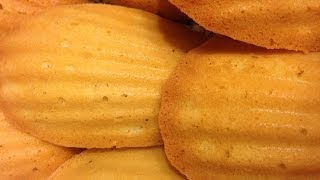 Madeleines French Tea Biscuits [upl. by Okeim]