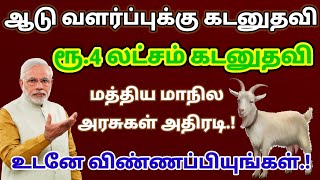 ஆடு வளர்ப்புக்கு ரூ4 லட்சம் கடனுதவி உடனே விண்ணப்பிக்க அழைப்பு மத்திய மாநில அரசுகள் அதிரடி [upl. by Elfrieda]