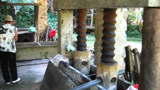 Ubatuba Casa da Farinha  The Ancient Meal House from the Slaves Time [upl. by Vashtee59]