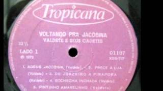 ADEUS JACOBINA MÚSICA DE AUTORIA E INTERPRETAÇÃO DE VALDETE LP 1972wmv [upl. by Llerryt]