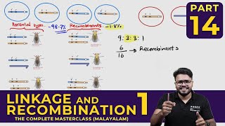 Mastering LINKAGE AND RECOMBINATIONPART 01  Principles of Inheritance and Variations  CLASS 14 [upl. by Dimmick743]