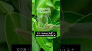 graliz syngenta  Fungicide Bactericide 🔥 shortvideo youtubeshorts fungicide [upl. by Lotti497]