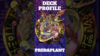 YuGiOh ARC V DECK PREDAPLANT Deck Predaplanta TCG DECK PROFILE Yuri [upl. by Morganstein]