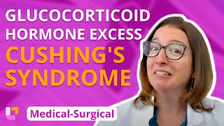 Glucocorticoid Hormone Excess Cushings Syndrome  Medical Surgical  Endocrine  LevelUpRN [upl. by Fedirko]