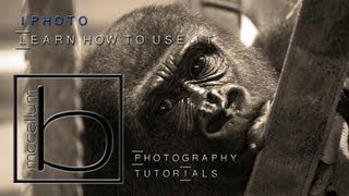 How to use iPhoto [upl. by Enneibaf]