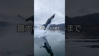 魚になる方法 [upl. by Wagner]