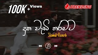 Duka Wedi Tharamata  දුක වැඩි තරමට SlowedReverb [upl. by Roinuj880]