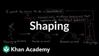 Operant conditioning Shaping  Behavior  MCAT  Khan Academy [upl. by Reinhard]