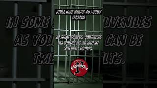 Juvenile Justice Facts outreach troubledyouth shorts shortvideo [upl. by Arvad183]