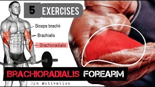 Best 5 Exercises quotBRACHIORADIALIS FOREARMquot Workout  SHREDDED BODY [upl. by Griff]