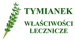 Tymianek właściwości lecznicze i zdrowotne Zastosowanie tymianku Działanie herbata napar i syrop [upl. by Ainesey362]