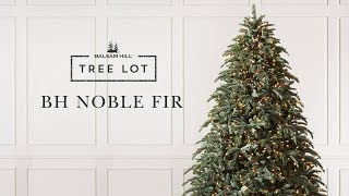 BH Noble Fir  Tree Lot [upl. by Letsyrk135]