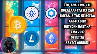 ETH ADA LINK LTC Показали где их хай цикла и когда их АЛЬТСЕЗОН BTC идет на ЕМА 200 [upl. by Borden875]