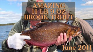 Incredible 11 Pound Brook Trout  Labrador [upl. by Kanter]