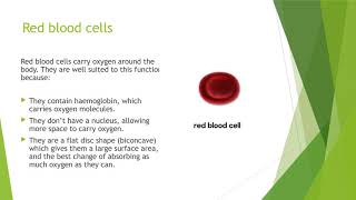 KS3 Biology  Specialised Cells [upl. by Averill80]