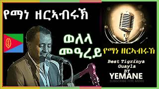 Yemane Zerabruk Eritrean music Live on stage Hot Guyla ጓይላ 2024 Welela MeArey [upl. by Stearns693]