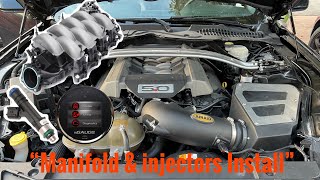 Mustang Gt Install ported 18’ intake manifold 47 LB injectors amp Lund tune gen 2 coyote [upl. by Ley251]