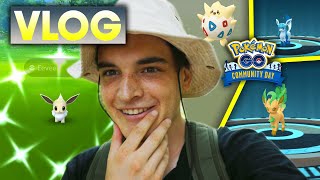 SHINY EEVEE COMMUNITY DAY VLOG in POKEMON GO [upl. by Nannaihr255]