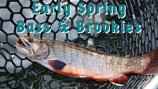 How to Catch Big Spring Bass amp Brook Trout [upl. by Akisej318]