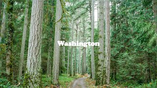 A Week of Shooting Medium Format Film in Washington [upl. by Liane]