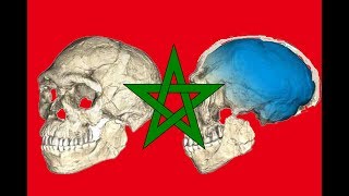 The oldest Homo sapiens fossils at Jebel Irhoud Morocco [upl. by Broder]