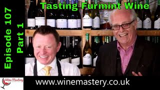 Furmint Hungarian Wine Episode 107 Part 1 [upl. by Nosreip]