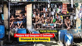 Ditumpuk Di Sel Kandang Penjara Khusus Gengster El Salvador Cartel Narkoboy Paling Kejam [upl. by Marylinda86]