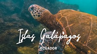 LAS ISLAS GALÁPAGOS El último refugio ECUADOR 4K  enriquealex [upl. by Uon]