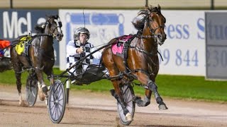 2024 Ladbrokes Blackbook Dividend Open Pace 1660M Albion Park Australia  Leap to Fame 1515 [upl. by Odlonyer379]