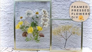 Framed Pressed Flowers DIY [upl. by Auvil456]