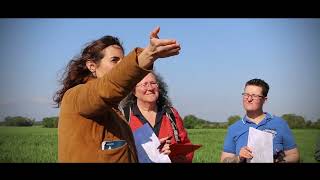 Plantations de haies  la démarche paysagère sur le plateau de Saclay [upl. by Tacita]