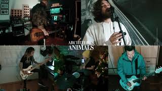 ARCHITECTS  Animals Full Cover [upl. by Nwavahs]