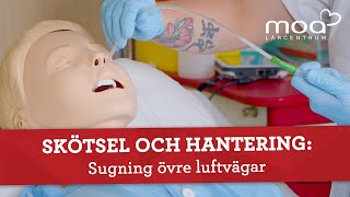 Skötsel och hantering  Sugning övre luftvägar [upl. by Atwater77]