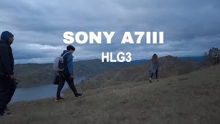 Cinematic Video  Sony A7III HLG3 [upl. by Crescint]