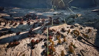 Most Realistic Ants Game  Story One  Empires Of Ants [upl. by Oiliruam]