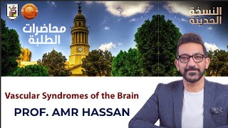 Vascular Syndromes of the Brain  أدعمرو حسن الحسني أستاذ المخ والأعصاب [upl. by Eblehs]