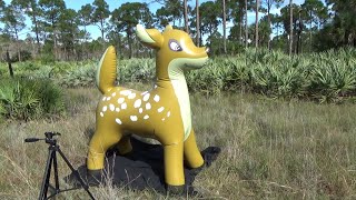 Giant 7Foot Tall Inflatable Doe from Phenod Toys [upl. by Nnov]