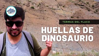 🐾 El día que caminamos entre dinosaurios  Trekking a las huellas de las Termas del Flaco 🦖 [upl. by Bellanca222]