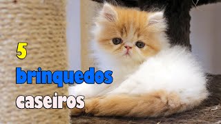 5 BRINQUEDOS CASEIROS E BARATINHOS PARA GATOS 😻  Gatil Hauser [upl. by Parks]