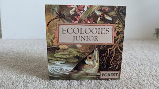 Ecologies Junior Junior  Educational Board Games  New Board Game [upl. by Qooraf]