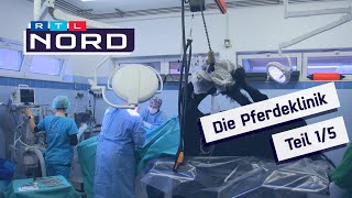 Die Pferdeklinik Teil 1 Mit Radioaktivität die Ursache von Lahmheit finden [upl. by Wordoow531]