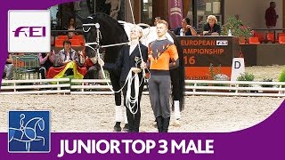 Top 3 Male Junior  European Championships Vaulting 2016  Le Mans [upl. by Mok]