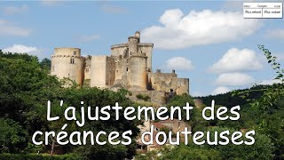 Lajustement des créances douteuses [upl. by Woolley]