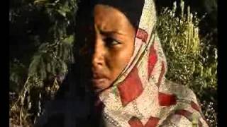 New Ethiopian Orthodox Mezmur by Zemarit Aynalem Emebete [upl. by Nojad]