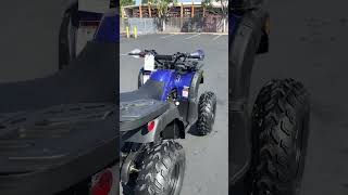 200cc Full Size ATV  Venom Kodiak  4 Wheeler  New  2000 Free Ship  venommotorsportsusacom [upl. by Nuawed]