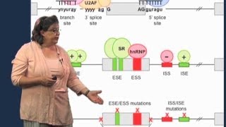 Splicing mutations  Melissa Moore U MassHHMI [upl. by Harding]