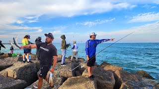 Port Aransas Jetty Fishing Spanish Mackerel  Catch and Cook [upl. by Agnesse]