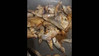 SARAP SINANGAG NA SAPSAP NA ISDA 😋 PINOY FOODS SHORTVIDEOSUBSCRIBES TIKAL AMOGID [upl. by Macswan]